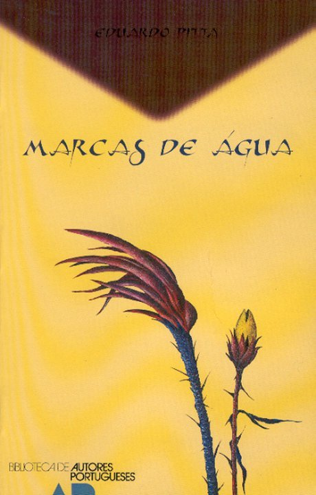 Capa de Marcas de Água, de Eduardo Pitta